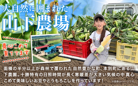 【先行予約】朝採り とうもろこし ビーナスコーン スイートコーン 20本 《2026年8月上旬-8月末頃出荷予定》山下農場 バイカラー 大粒 コーン トウモロコシ 送料無料 北海道 本別町北海道 十勝 本別町産 冷蔵便 甘い