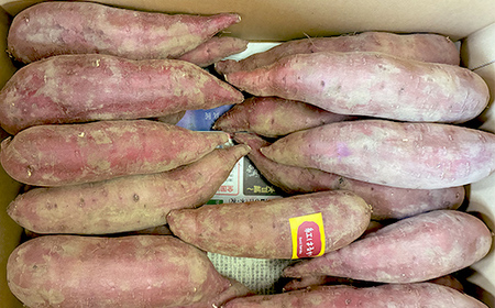 甘さ引き出す 熟成紅はるか 5kg さつまいも S～Mサイズ サツマイモ さつま芋 甘い おやつ 食品  F21T-471