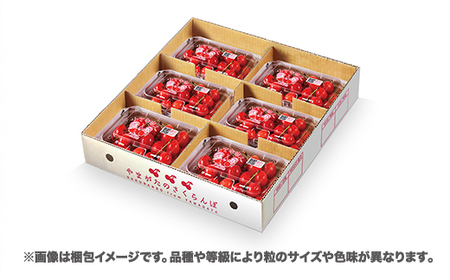先行予約 さくらんぼ 紅秀峰 1080g(180g×6パック) Lサイズ以上  秀品 山形県産 令和8年産 2026年産 sb-bsslx1200