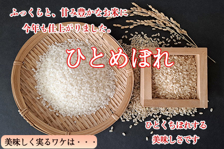 減農薬栽培 ひとめぼれ玄米10kg【2425】