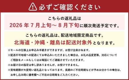 岡山県産 岡山白桃 エース Lサイズ 約200g×2玉・ ニューピオーネ 約400g×1房 詰合せ ぶどう ブドウ 葡萄 くだもの 果物 果実 フルーツ 国産 白桃 モモ もも 桃 家庭用 ギフト 贈り物 贈答 【 2026年7月上旬～8月下旬発送予定 】