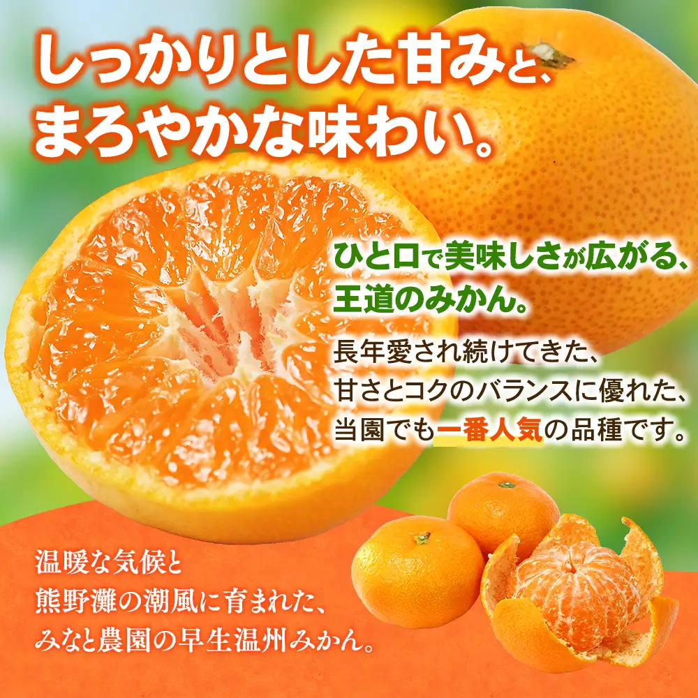 【数量限定】みかん 早生温州みかん 約5kg【mntf0009】