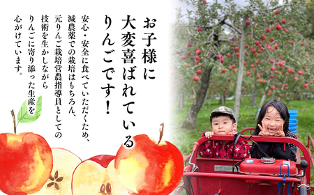 ≪令和8年産先行受付≫令和9年2月発送! 贈答規格サンふじ約2kg  青森県平川市産[hi-0038-016-2]