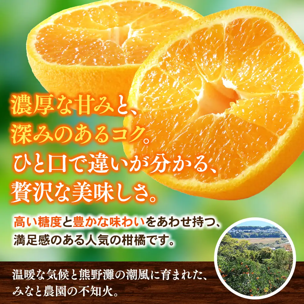 【先行予約】不知火 みなと農園の不知火 約5kg 【mntf0013】
