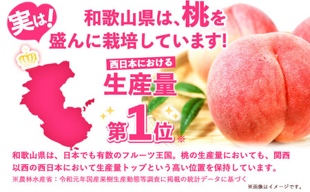 【先行予約】桃 赤秀 モモ 紀の川市産 手提げ箱 3玉入り 株式会社松源《7月中旬-8月中旬頃出荷》和歌山県 紀の川市 送料無料 フルーツ 果物 もも 最高ランク 贈答 プレゼント 赤秀ランク お取り寄せフルーツ