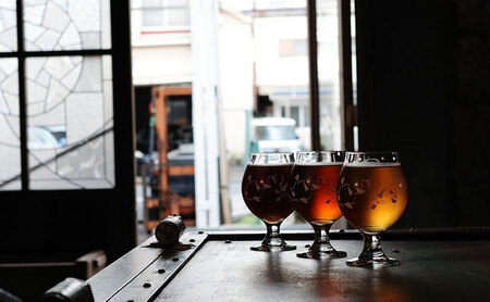 ピロノビール おまかせ3種6本セット クラフトビール ビール ご当地ビール 地ビール 詰め合わせ ギフト 贈り物 プレゼント 母の日 父の日 東北 福島県 郡山市