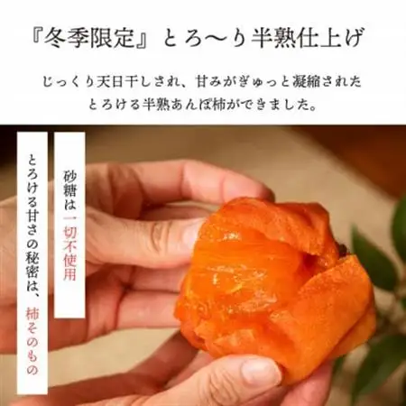 【2026年11月より発送】特選 山梨県産 あんぽ柿 「蜜まる」 6個入【1717564】