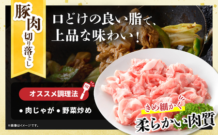 宮崎県産 豚肉＆鶏肉 人気部位セット 合計4.5kg_D123-25