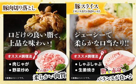 宮崎県産 豚肉＆鶏肉 よくばりセット 合計4.5kg_DB43-25
