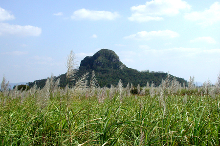 ラム酒 伊江島蒸留所限定 イエラムサンタマリア 500ml アルコール 60% 1本 [伊江島物産センター 沖縄県 伊江村 ie47bde210061]