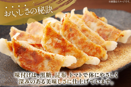 餃子 イカスミ 墨ちゃん 12個 6p 計72個 [伊江漁業 沖縄県 伊江村 ie47bde290006]