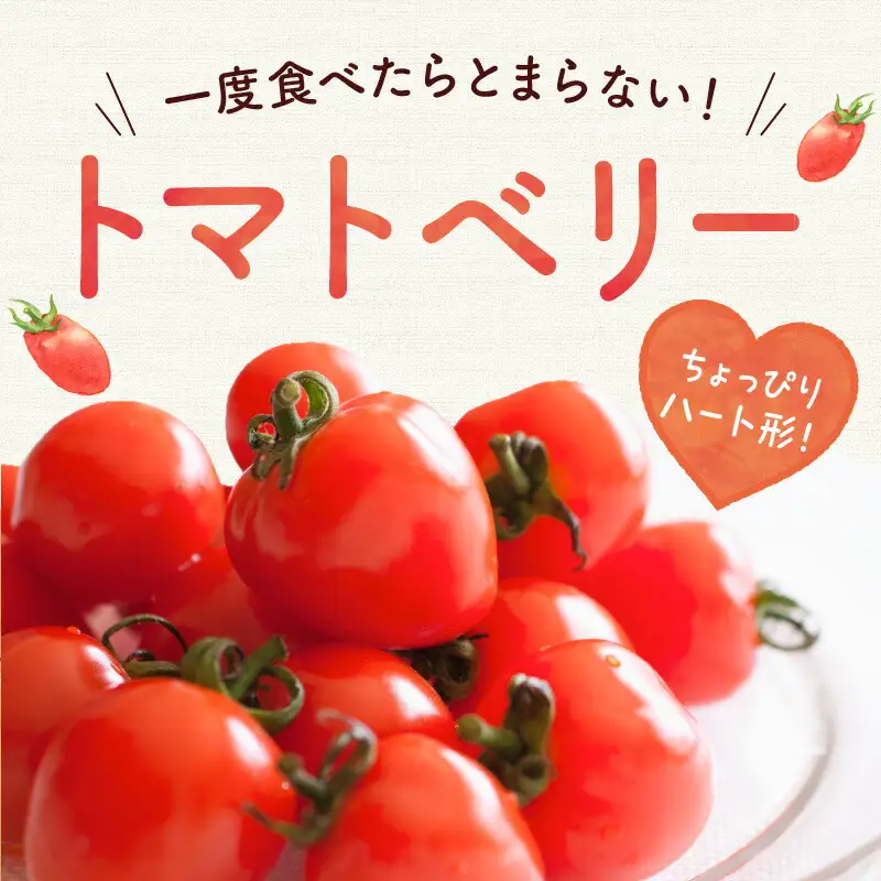 【先行予約】フルーツのように甘いミニトマト2種 各2kg トマトベリー & Nicoロッソ_Y124-0023