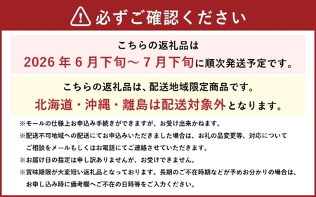 岡山県産 ニューピオーネ 約1.2kg （ 約600g×2房 ） ぶどう ブドウ 葡萄 くだもの 果物 果実 フルーツ 種なし 種無し 国産 【 2026年6月下旬～7月下旬発送予定 】