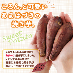 ＜先行予約受付中！2026年10月から順次発送予定＞おやつ芋 あまはづき 冷凍 焼き芋(計12個・3個入り×4袋) 焼芋 やきいも さつまいも さつま芋 レンジ あまはづき 小分け おやつ 【YO-25】【株式会社陽】