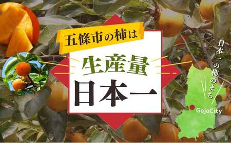 富有柿 約 3kg (Mサイズ以上混載）  |  大人気 人気 富有 柿 かき フルーツ 果物 奈良県 五條市 萩本農園 ギフト おすすめ 11月 発送 カキ 秋の味覚 旬 甘い 大容量 農家直送 産地直送 グルメ お取り寄せ 送料無料  食物繊維 豊富 美容 健康 | 奈良県 五條市