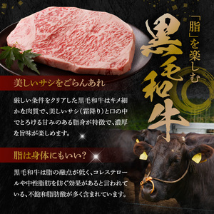 S001-022A_A4～A5等級 黒毛和牛 サーロインステーキ 1枚（300g）ステーキのたれ 1本付 / 黒毛和牛 牛肉 肉 サーロイン ステーキ