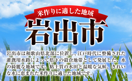 米 和歌山まんぷく米 10kg