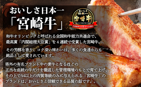 宮崎牛うで・ももスライス450g すき焼きしゃぶしゃぶ用（2～3人前） 内閣総理大臣賞4大会連続受賞のお肉 ブランド牛 黒毛和牛 大人気のヘルシーな牛肉 [和牛 国産 黒毛和牛] TF0901-P00020 