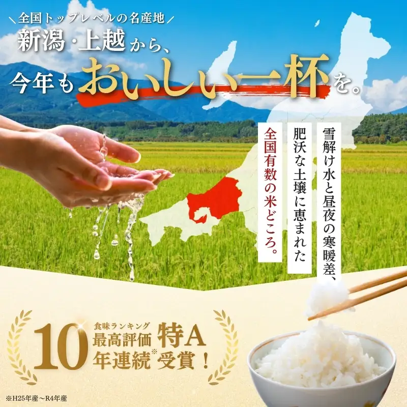 【最短3日配送】農家応援! コシヒカリ・新之助 各 5kg 10kg セット 緊急価格改定 新潟県 上越市産 令和7年産 お米 精米 米 ご飯 送料無料