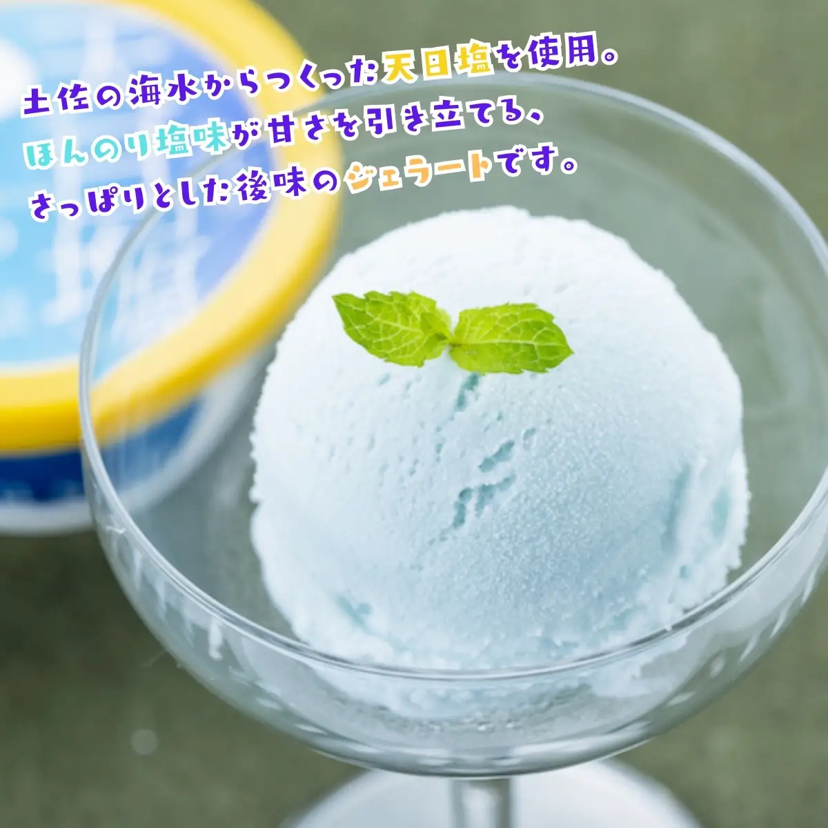 Made in 土佐★天日塩ジェラート6個（高知アイス）
