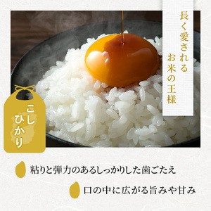 コシヒカリ 白米 5kg 定期 12回　米 コメ お米 こめ 精米 こしひかり 滋賀県 豊郷町