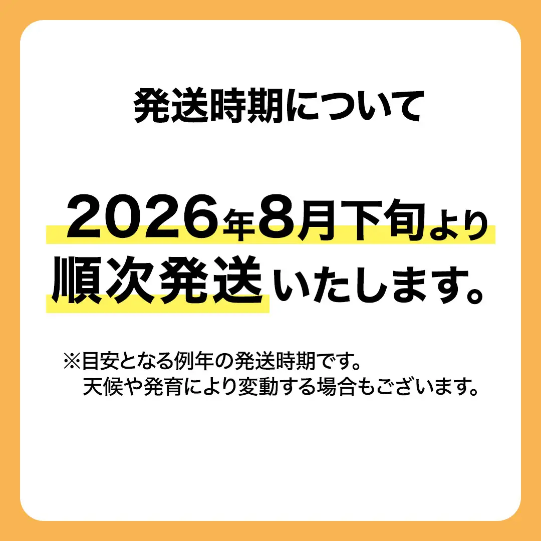 豊水 超大玉 約 3kg 3～4玉 (茨城県共通返礼品:かすみがうら市) 2026年 マスカット ぶどう 葡萄 ブドウ フルーツ 果物 くだもの 旬 食べ比べ セット 詰め合わせ 国産 産地直送 ギフト 贈答 プレゼント 手土産 お土産 [DH023sa]