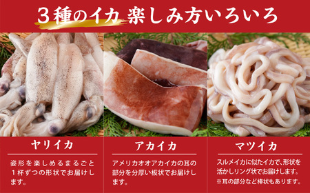 【訳あり】３種のイカ たっぷり ３kg ! ＜加熱用＞ ヤリイカ、アカイカ、マツイカ 詰め合わせ 小分け 下処理済　煮物 からあげ 天ぷら 炒め物 サラダ おつまみ などに 使いやすい 烏賊 イカ 海鮮 魚介　三重県 尾鷲市 人気 大満足 返礼品 MT-15