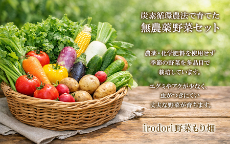 B2-7805　【3回定期便】野菜セット（7品目前後/1回）