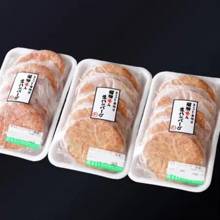 飛騨牛入特製生ハンバーグ　100g×15個【配送不可地域：離島】【1721800】