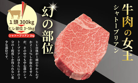 【定期便】佐賀牛 シャトーブリアン 200ｇ・ ヒレステーキ 400ｇ（全12回／連続お届け） 冷凍 赤身 国産 お肉 ブランド牛 牛肉 ステーキ フィレ 希少部位 贅沢 川べぇ  Q888-001