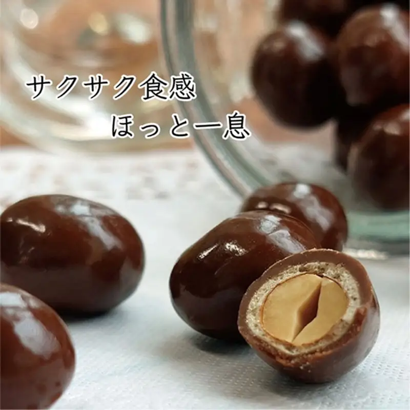 Ｅサイズ　ポリッピーチョコ　４０ｇ×１０袋　0019-2601