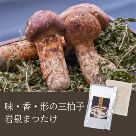 岩泉産松茸釜めし3合炊き(3～4人前)手軽に「岩泉まつたけ」ブランドの松茸ご飯を!お米付きで簡単調理【1721316】
