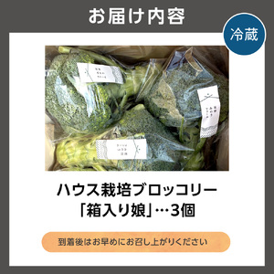ハウス栽培 ブロッコリー「箱入り娘」3個入り｜野菜 北海道 石狩市