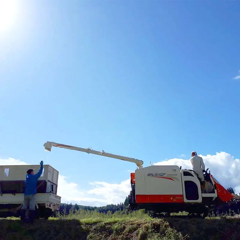 【令和7年産米】三島町産コシヒカリ 精米10㎏ FAG-0060