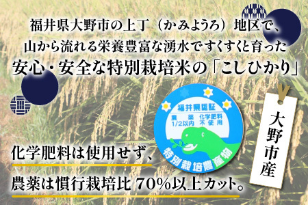 【先行予約】【令和8年産 新米】ベストファーマー ほたるの里 特別栽培こしひかり 5kg 化学肥料不使用 農薬70％以上カット[A-002004]