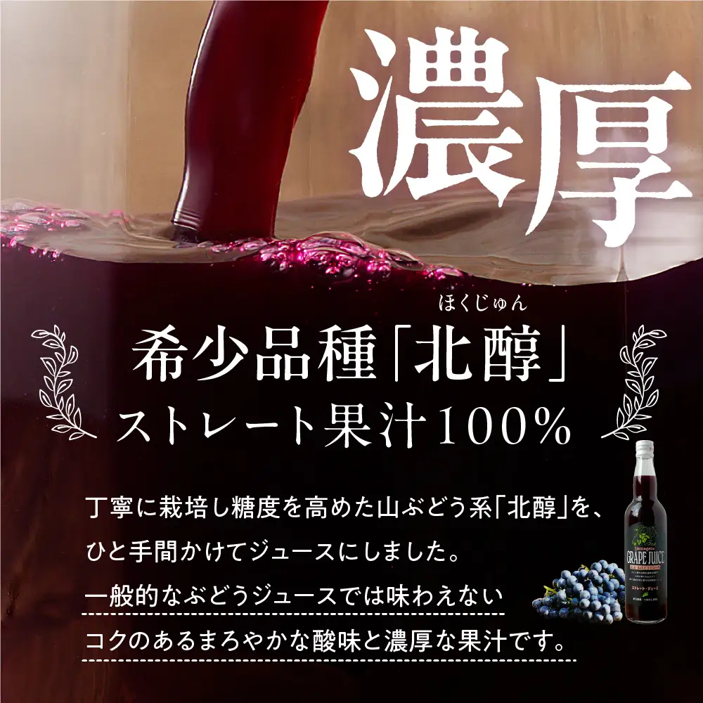 美味しい上山・山ぶどうジュース（原液）５５０ｍｌ×２本　0140-2610