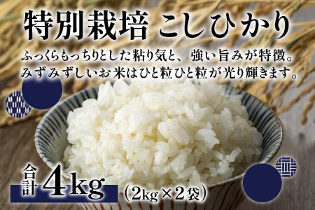 【先行予約】【令和8年産 新米】ベストファーマー ほたるの里 特別栽培こしひかり 4kg（2kg × 2袋） ＋ かぐらもち米 1.4kg 化学肥料不使用 農薬70％以上カット [A-002005]