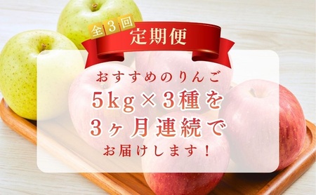 りんご5kg 3ヶ月定期便 スイート ゴールド サンふじ 贈答用 信州 フルーツ 果物 3回　シナノスイート シナノゴールド 林檎 リンゴ くだもの 旬の果物 旬のフルーツ 信州産 長野県産 長野 長野県 上田市