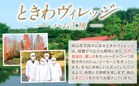 ハム & ベーコン 切り落とし 12袋　ハム ベーコン