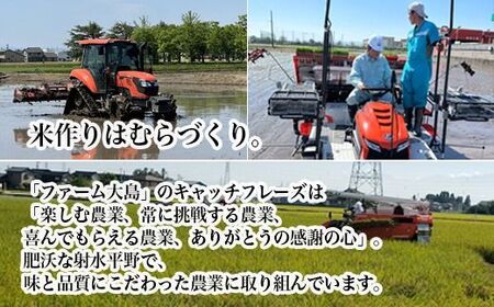 【3ヶ月定期便】【射水市】【総理大臣賞】【三世代交流】【射水の美味しいお米】射水市 おおしま ほほ笑み米 R8年度産 富富富 5kg【精米】｜ お米 令和8年産米 銘柄米 こめ 小分け 5kg 5キロ 三世代交流 白米 富山県 射水市おおしま ほほ笑み米 ※離島への配送不可 ※2026年10月上旬～10月下旬頃に順次発送予定