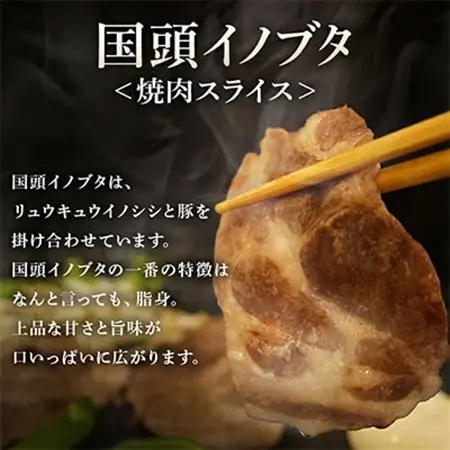【ビール特産品セット】オリオン ザ・ドラフト12本＆旨み凝縮!国頭イノブタ【複数個口で配送】【配送不可地域：離島】【4014724】