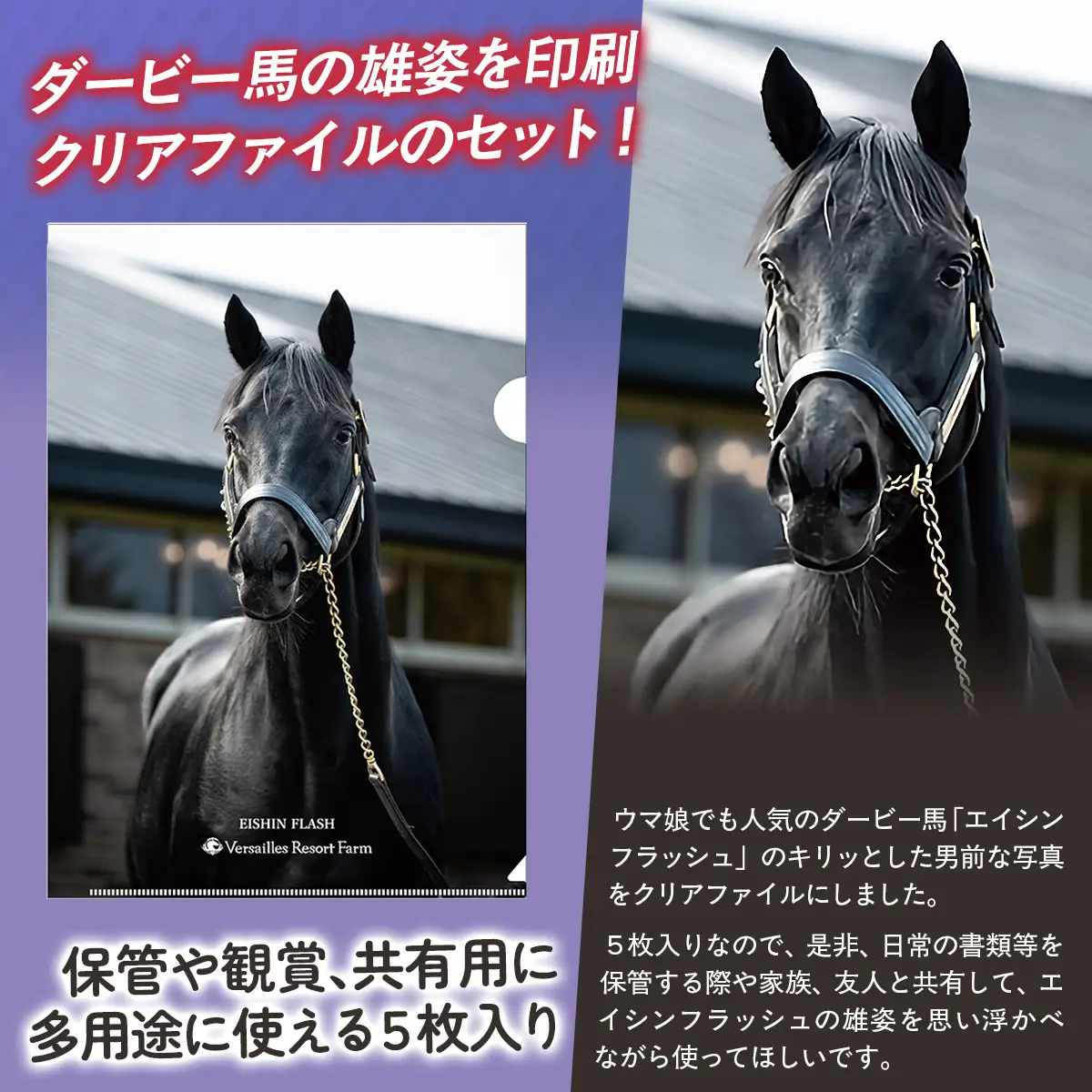 【エイシンフラッシュ】クリアファイル5枚入り BRTV033