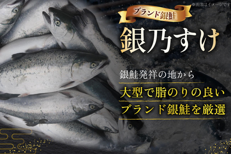 銀鮭 銀乃すけ 約100g 1切入 計16切 [行場商店 宮城県 南三陸町 m304bir900000]