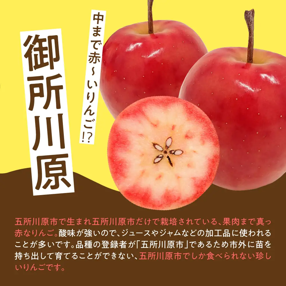 ジャム　中まで赤～いりんごジャム100g×3瓶 フルーツジャム青森