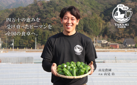 苦味が少なくておいしい！ 高見農園 のこだわり 新鮮 ピーマン 1kg 野菜 ベジタブル ぴーまん ハウス ハウスピーマン ハウス栽培 惣菜 国産 産地直送 旬 高知県 四万十 しまんと【発送時期：10月～6月】26-0036