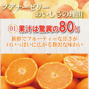 ゼリー オレンジ 24個  入り プデナー ゼリー フルーツ とくれん フルーツゼリー 給食 