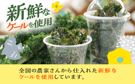 ケールチップス CafeSeasons 手作り 国産ケール使用 カシューナッツとスパイス仕立て / ヘルシー おやつ プラントベース おつまみ 小浜市 / Cafe Seasons[BFCC011]