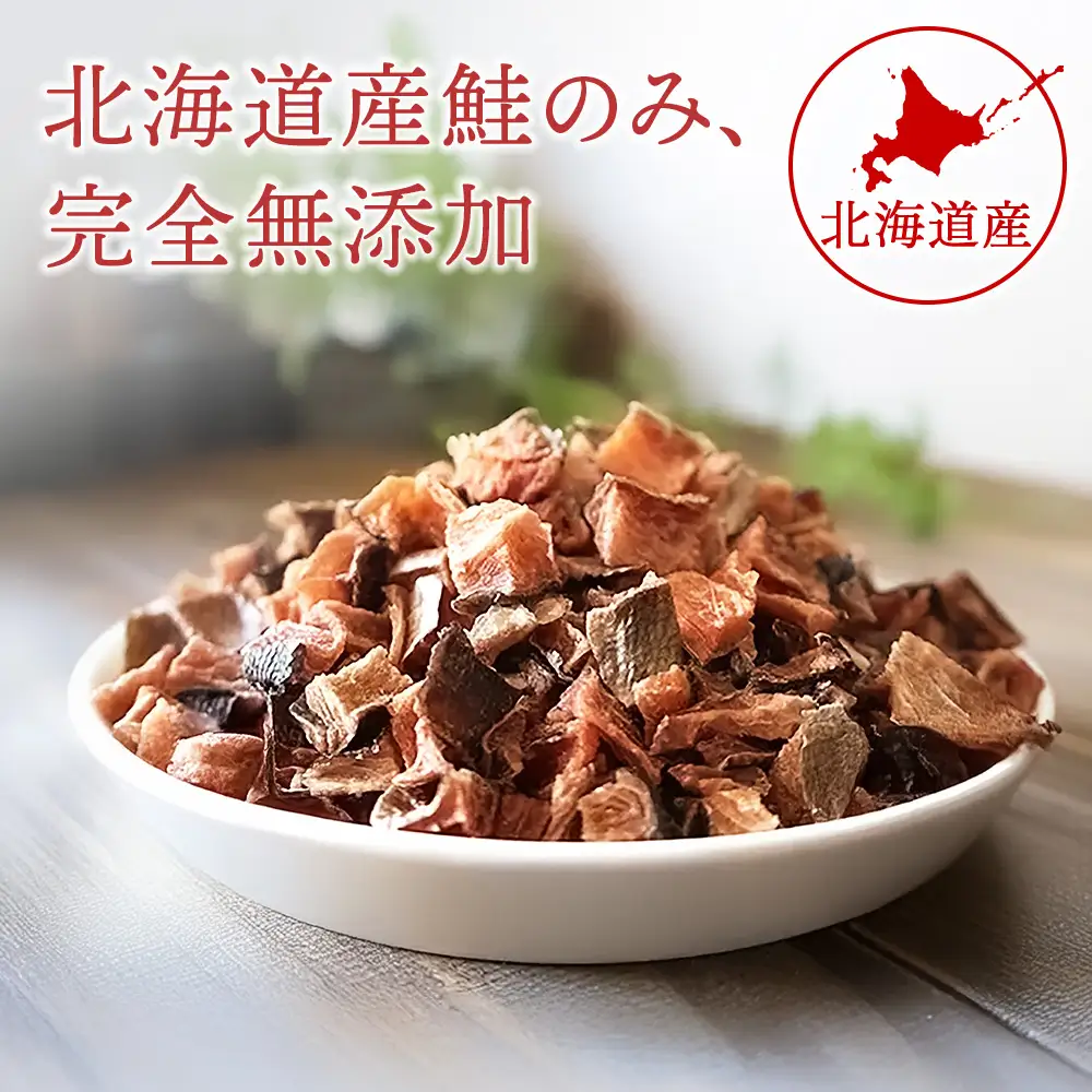 スティックサーモン 30g×1袋