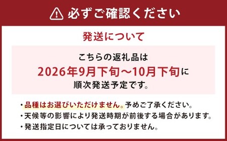 【9月発送分】【家計応援】【数量限定】梨 4.5kg+1玉 豊水 20世紀 新高 新興 果物 フルーツ