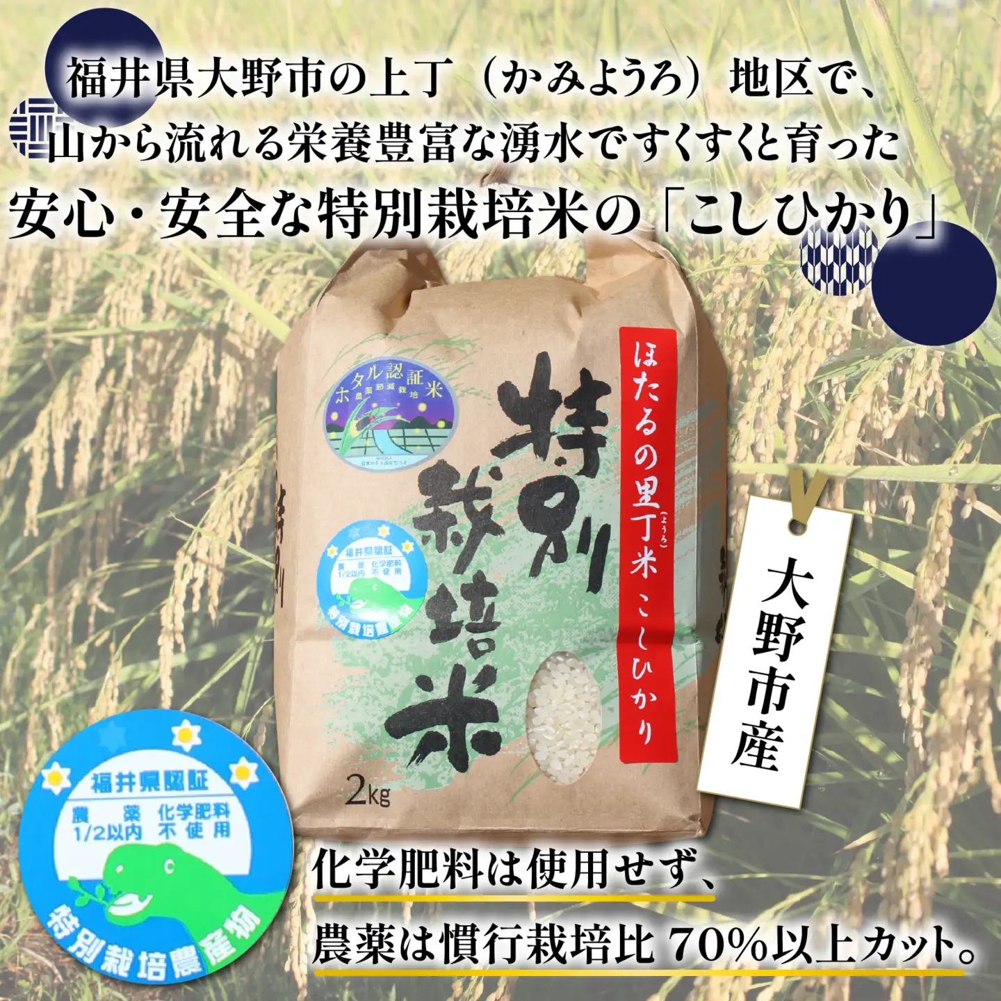 【先行予約】【令和8年産 新米】【5ヶ月定期便】ほたるの里 特別栽培こしひかり 6kg [J-002003] 精米 ベストファーマー